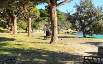 New Nielsen Park harbour-side residence approved